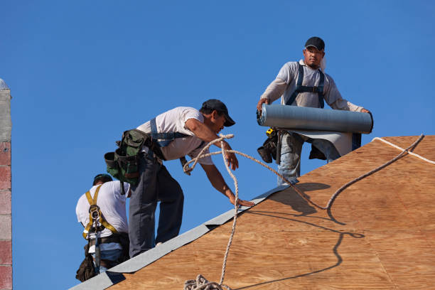 Professional Roofing Contractor in Sartell, MN